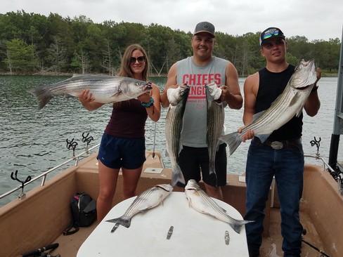 Nice Striped Bass