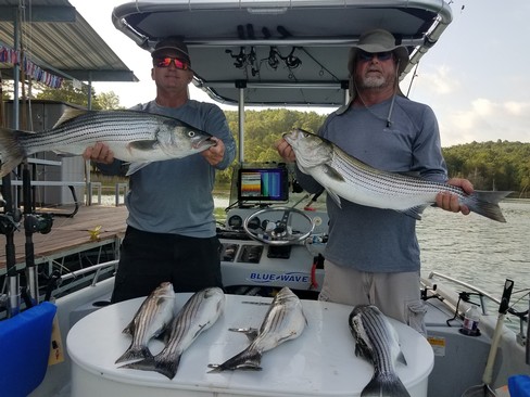 Nice Striped Bass