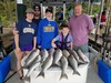 (06/30/2020) - Nice Striped Bass