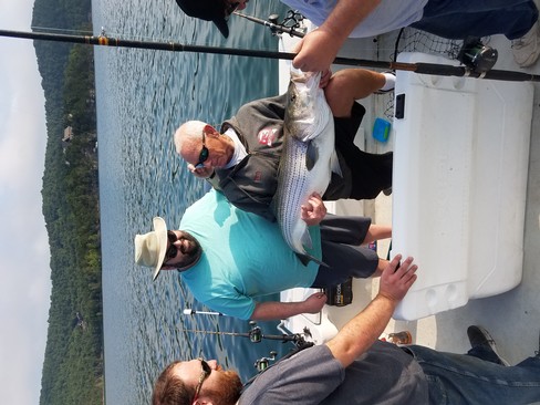 Nice Striped Bass