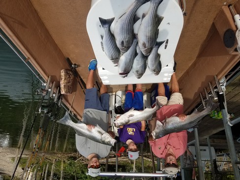 Nice Striped Bass