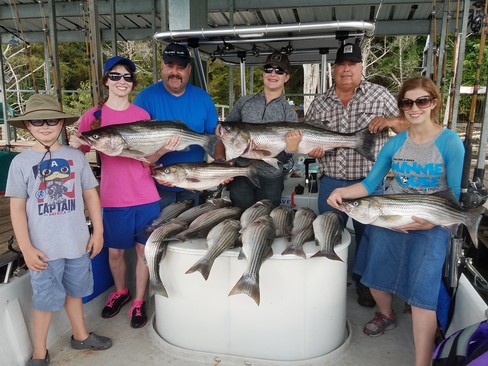 Nice Striped Bass