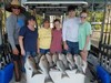 (07/10/2020) - Nice Striped Bass