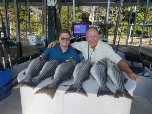 Nice Striped Bass