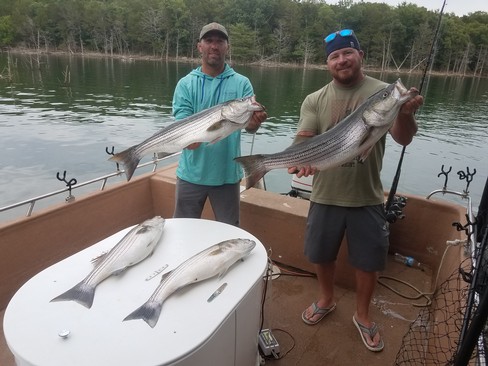 Nice Striped Bass