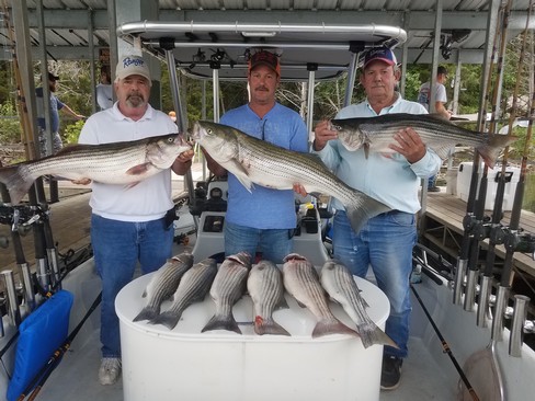 Nice Striped Bass