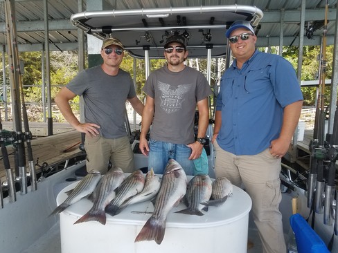 Nice Striped Bass