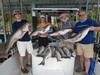 (07/16/2020) - Nice Striped Bass