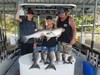 (07/19/2020) - Nice Striped Bass
