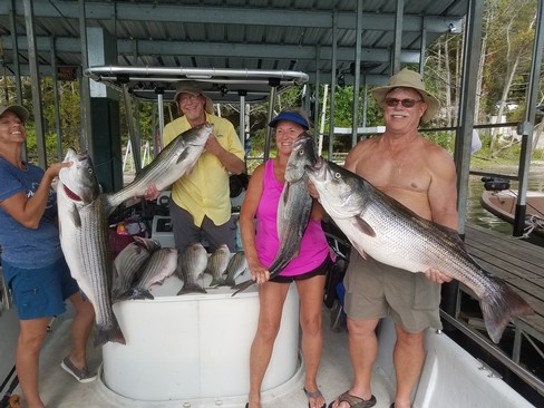 Nice Striped Bass