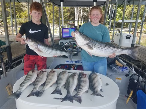 Nice Striped Bass