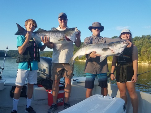 Nice Striped Bass