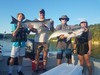 (07/24/2020) - Nice Striped Bass
