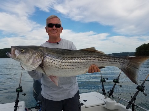 Nice Striped Bass