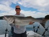 (08/01/2020) - Nice Striped Bass