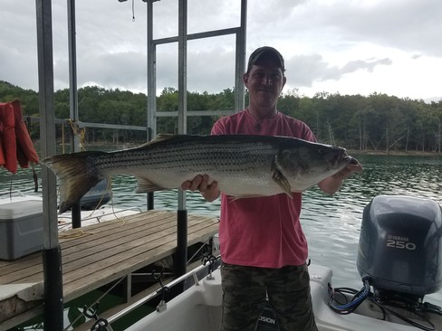 Nice Striped Bass