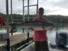(08/11/2020) - Nice Striped Bass