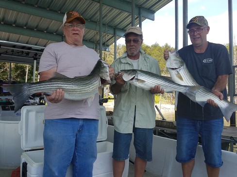 Nice Striped Bass