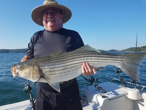 Nice Striped Bass