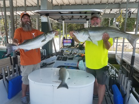 Nice Striped Bass