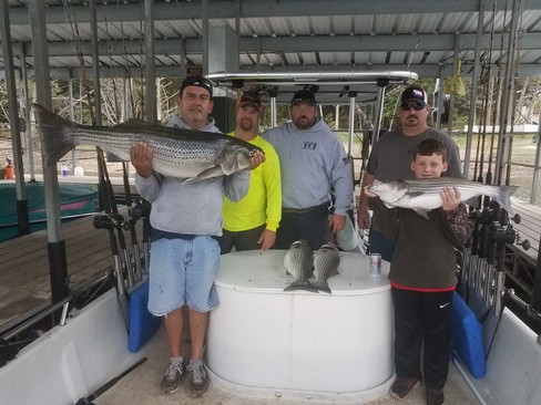 Nice Striped Bass