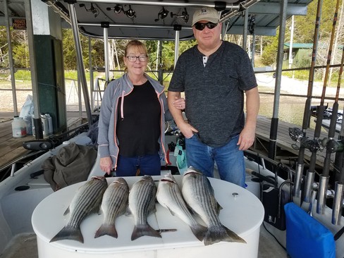 Nice Striped Bass