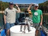 (09/06/2020) - Nice Striped Bass
