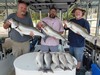 (09/09/2020) - Nice Striped Bass