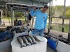 (09/10/2020) - Nice Striped Bass