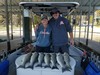 (10/01/2020) - Nice Striped Bass