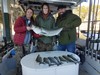 (11/02/2020) - Nice Striped Bass