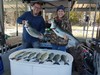 (11/03/2020) - Nice Striped Bass