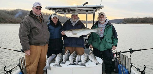 Nice Striped Bass