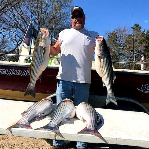 Nice Striped Bass