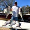 (04/04/2021) - Nice Striped Bass