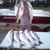 (04/05/2021) - Nice Striped Bass