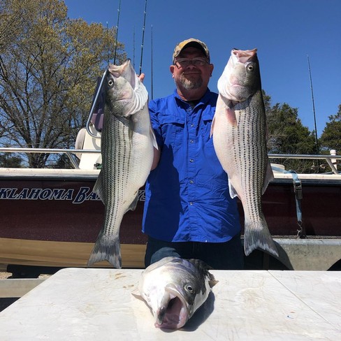 Nice Striped Bass