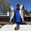 (04/09/2021) - Nice Striped Bass