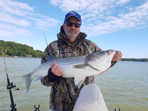 Nice Striped Bass