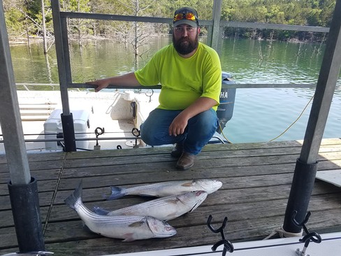 Nice Striped Bass