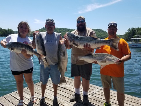 Nice Striped Bass