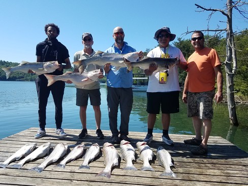 Nice Striped Bass