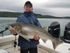 (06/21/2021) - Nice Striped Bass
