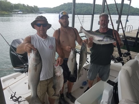 Nice Striped Bass