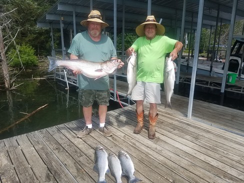 Nice Striped Bass
