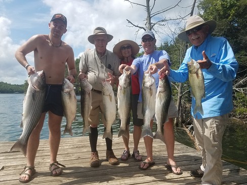 Nice Striped Bass
