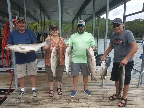 Nice Striped Bass
