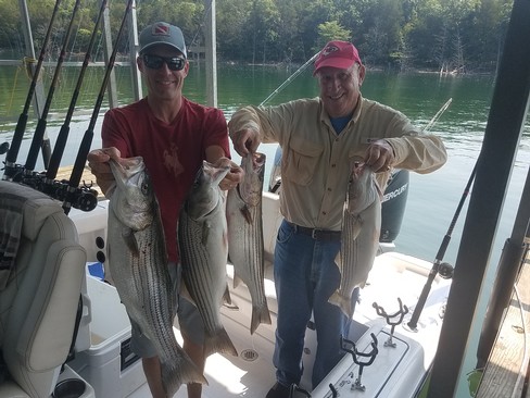 Nice Striped Bass