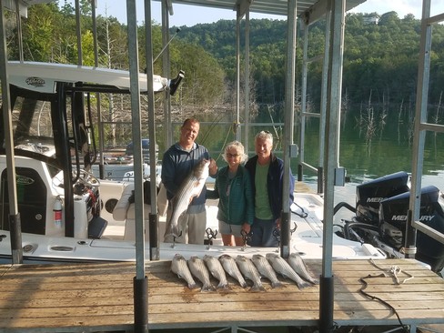 Nice Striped Bass