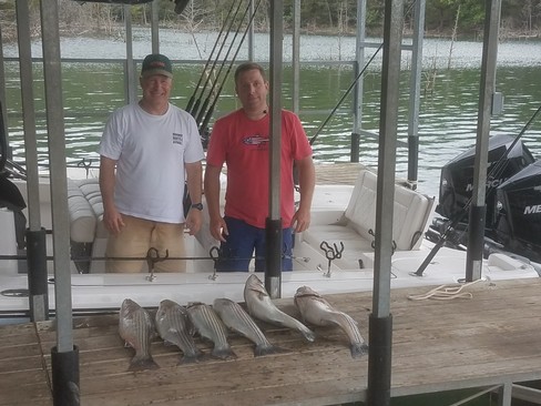 Nice Striped Bass